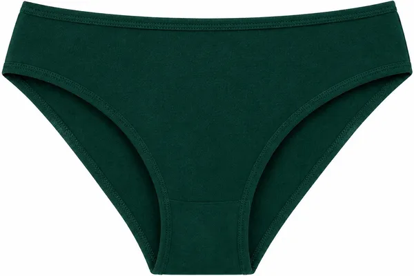 NETTARUFINA_Women_Hipster_Green_Panty_()