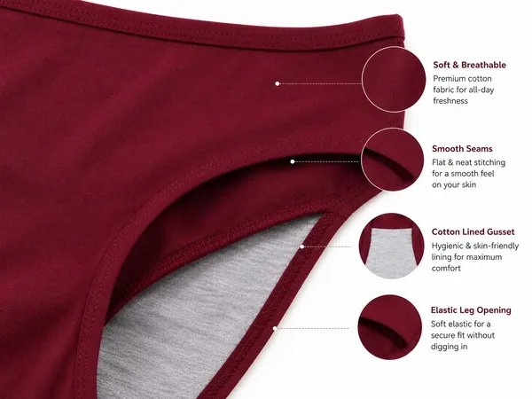 NETTARUFINA_Women_Hipster_Maroon_Panty_()