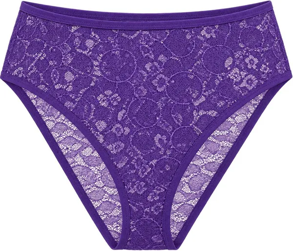 NETTARUFINA_Women_Hipster_Purple_Panty_()