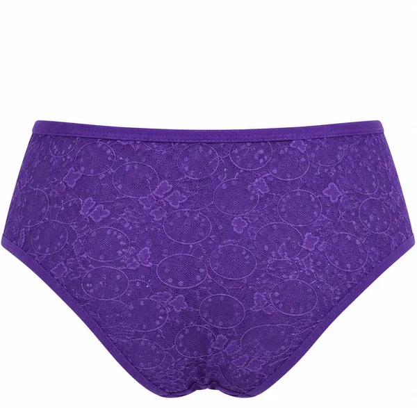 NETTARUFINA_Women_Hipster_Purple_Panty_()
