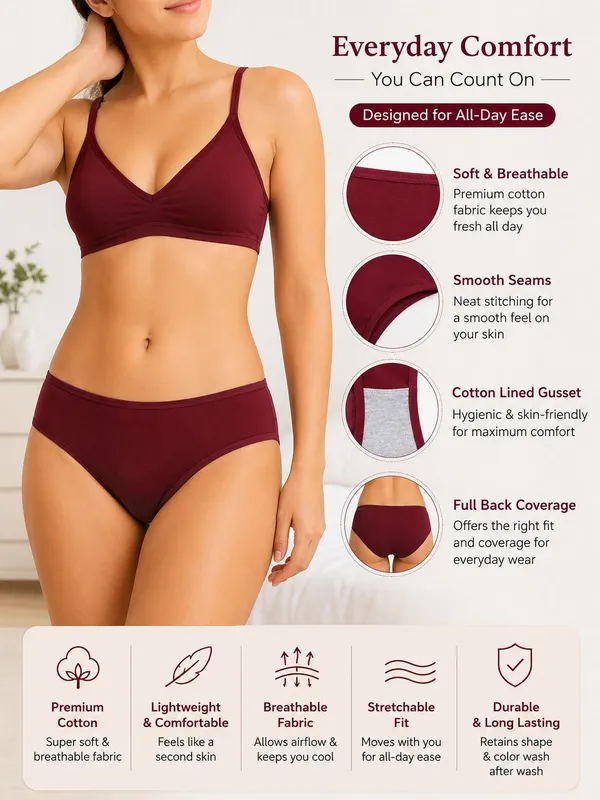 NETTARUFINA_Women_Hipster_Maroon_Panty_()