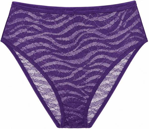NETTARUFINA_Women_Hipster_Purple_Panty_()