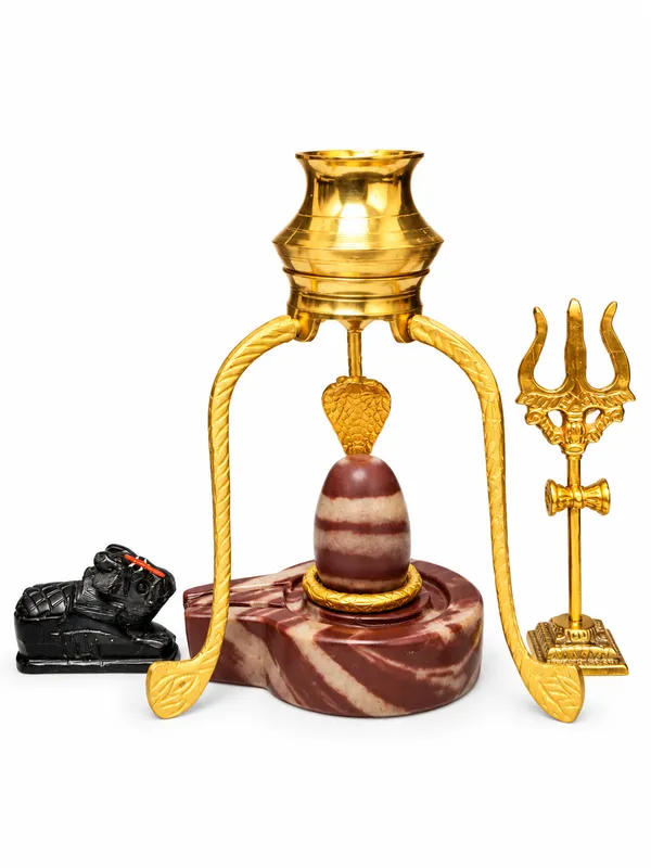 Janeudhari_Shivling_Combo_Set_With_Nag_Trishul_Nandi_Kalash