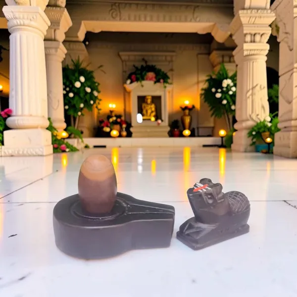 Narmadeshwar_Shivling_With_Plat_Jaldhara_And_Nandi_Pooja_Set