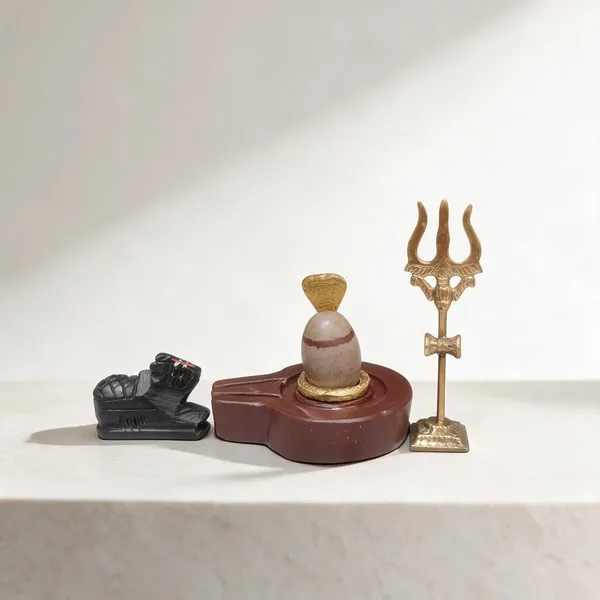 Narmadeshwar_Shivling_With_Plat_Jaldhara_Nandi_Trishul_And_Cobra_Nag_Pooja_Set