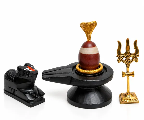 Janeudhari_Shivling_Full_Combo_Set_Nag_Trishul_Nandi_Kalash_Stand