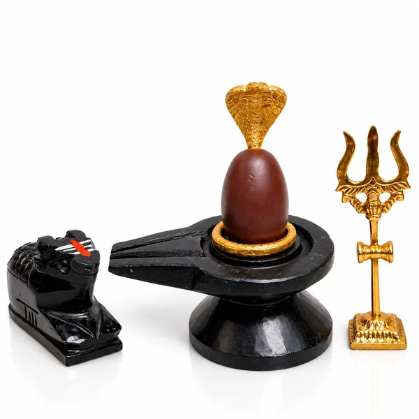 Swayambhu_Shivling_Combo_Set_With_Nag_Trishul_Nadi_Kalash