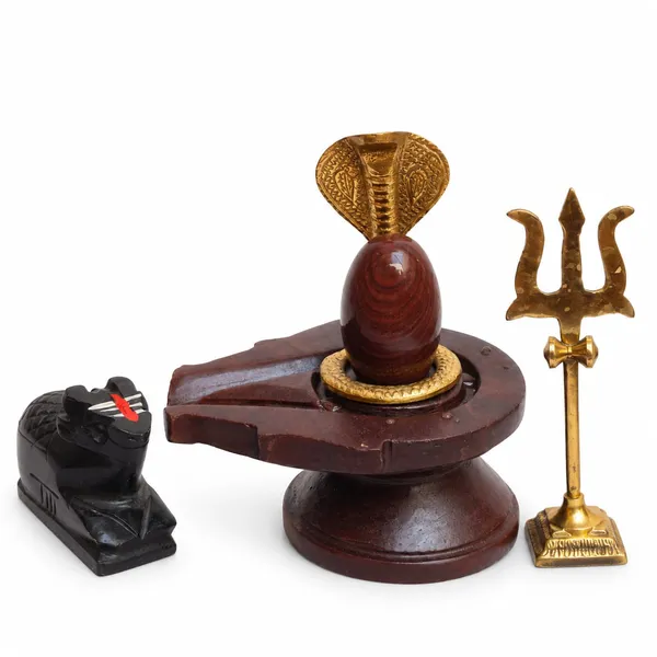 Swayambhu_Shivling_Full_Combo_Set_Nag_Trishul_Nandi_Kalash_Stand