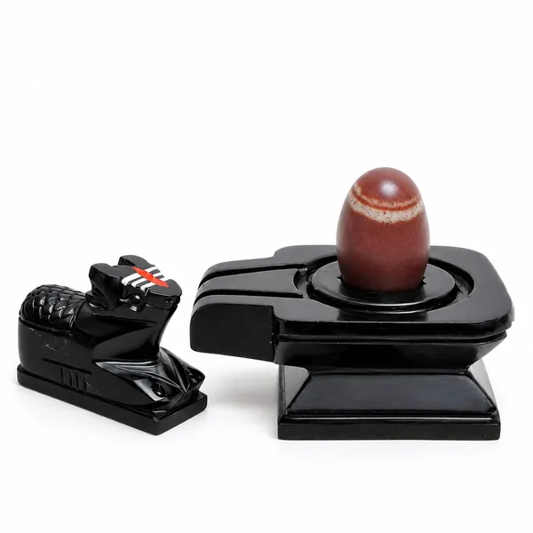Janeudhari_Shivling_With_Square_Jaladhari_Full_Set_Nag_Trishul_Nandi