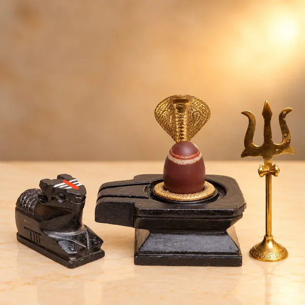Janeudhari_Shivling_With_Square_Jaladhari_Full_Set_Nag_Trishul_Nandi
