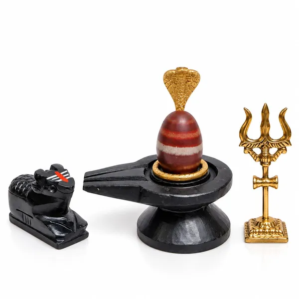Janeudhari_Shivling_Full_Combo_Set_Nag_Trishul_Nandi_Kalash_Stand