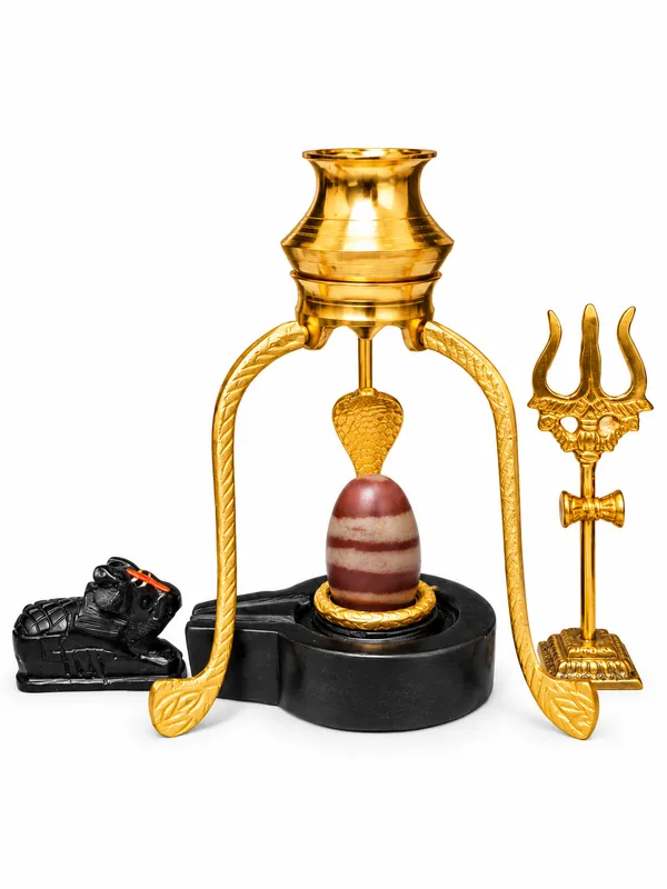 Janeudhari_Shivling_Full_Combo_Set_Nag_Trishul_Nandi_Kalash_Stand