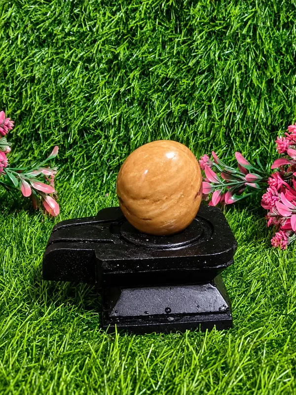 Original_Natural_Narmadeshwar_Shivling_2_Inch_Assorted_Round