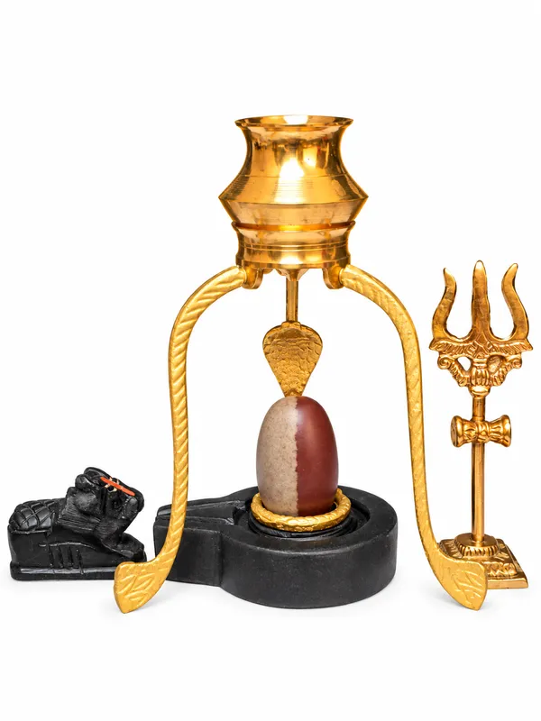 Ardhnarishwar_Shivling_Combo_Set_With_Nag_Trishul_Nandi_Kalash