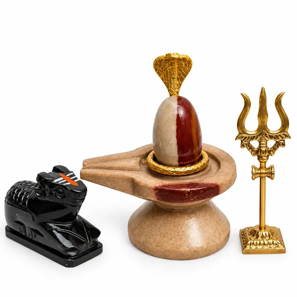 Ardhnarishwar_Shivling_Combo_Set_With_Nag_Trishul_Nadi_Kalash