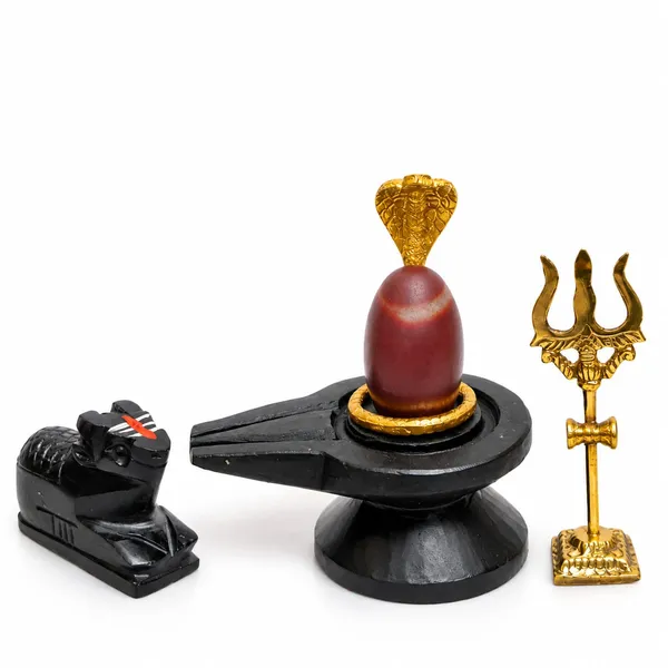 Janeudhari_Shivling_Full_Combo_Set_Nag_Trishul_Nandi_Kalash_Stand