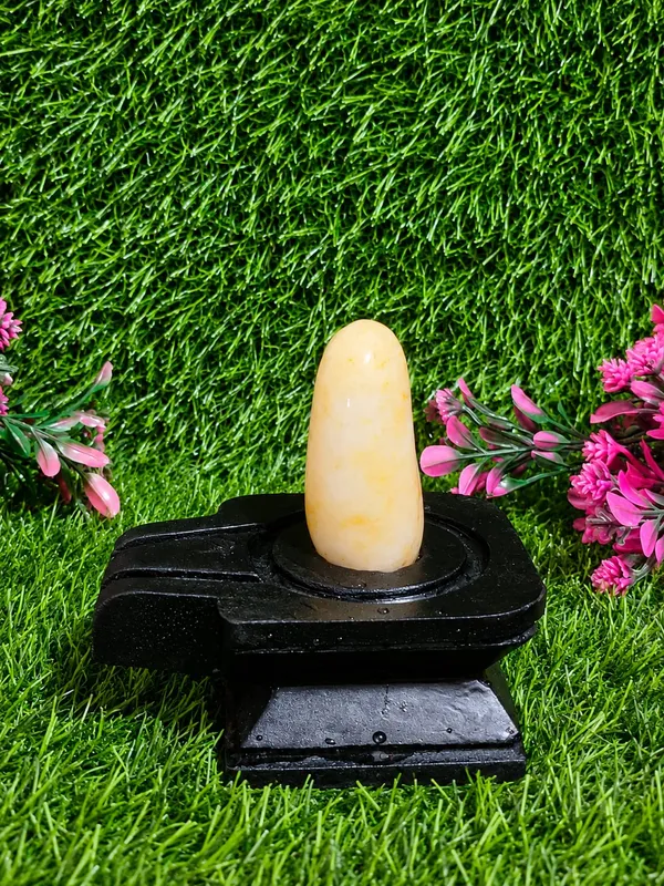 Original_Natural_Narmadeshwar_Shivling_2_Inch_Assorted_Round