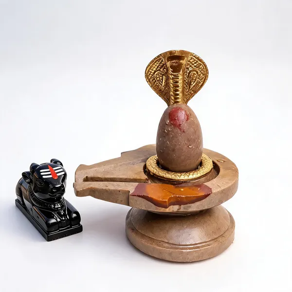 Narmada_Stone_Tilakdhari_Shivling_Set_With_Cobra_Nag_Jaladhari_Trishul