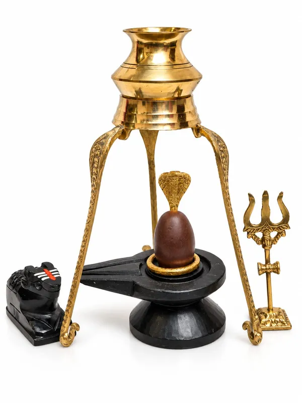 Swayambhu_Shivling_Combo_Set_With_Nag_Trishul_Nadi_Kalash