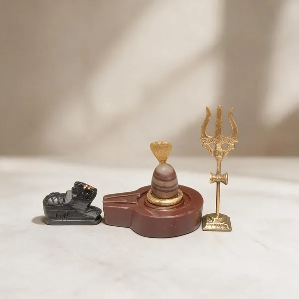 Narmadeshwar_Shivling_With_Plat_Jaldhara_Nandi_Trishul_And_Cobra_Nag_Pooja_Set