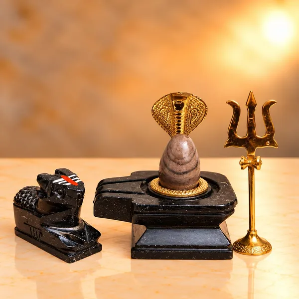 Janeudhari_Shivling_With_Square_Jaladhari_Full_Set_Nag_Trishul_Nandi