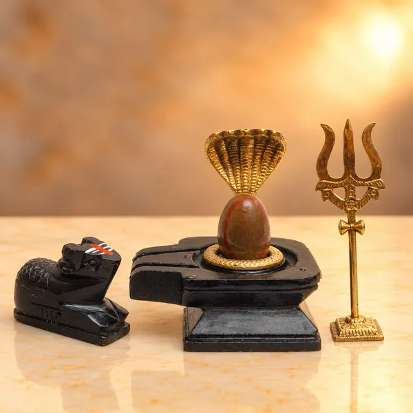 Narmada_Stone_Shivling_Square_Jaladhari_Set_With_Cobra_Trishul_Nandi