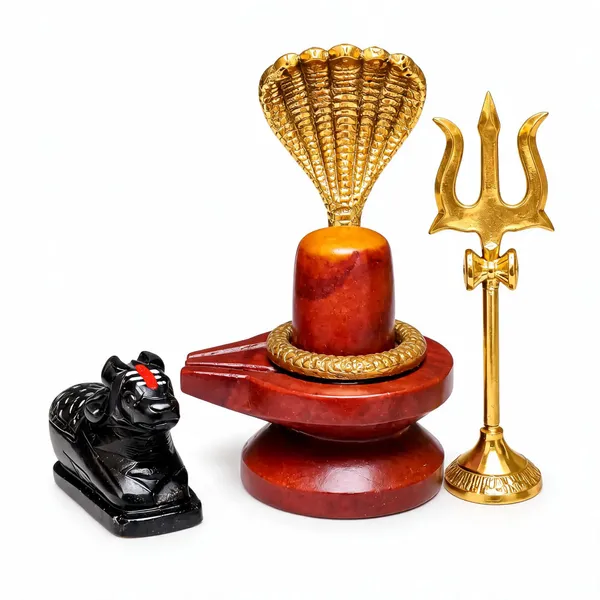 Narmada_Stone_Akhand_Shivling_Panchmukhi_Nag_Trishul_Nandi_Pooja_Set