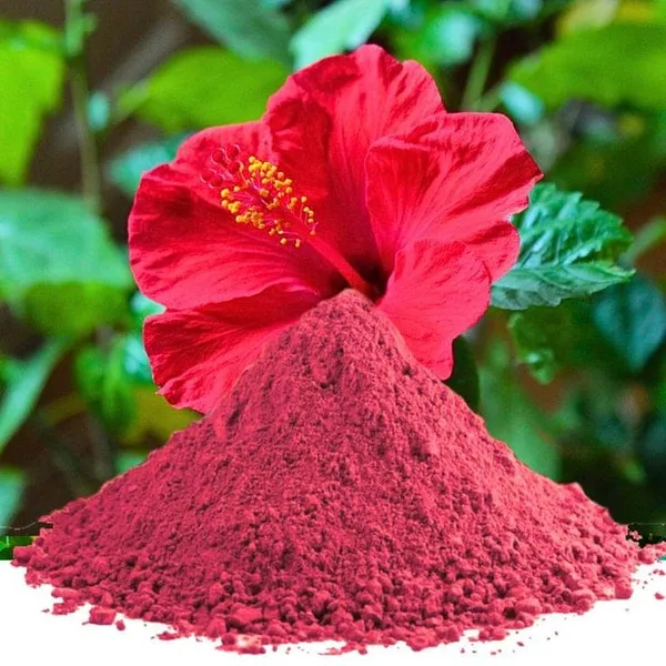 Hibiscus_Flower_Powder_For_Hair_And_Skin_Care