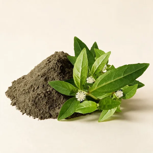 Bhringraj_Herbal_Powder_For_Hair_Care