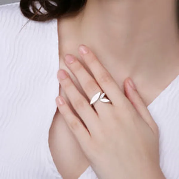 Unmirrored_Ring