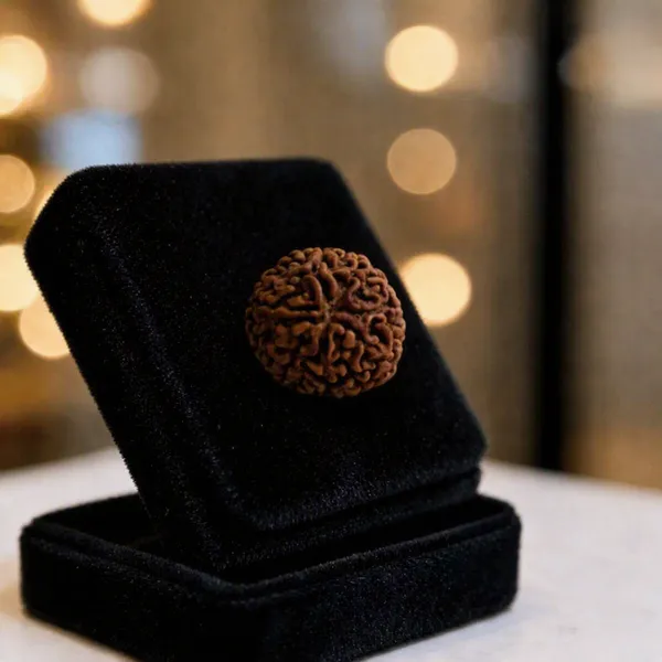 Original_7_Mukhi_Nepali_Rudraksha_Sacred_Seven_Face_locket_For_Prosperity_Balance_Spiritual_Well_Being