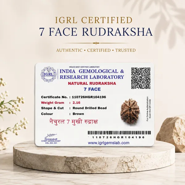Original_7_Mukhi_Nepali_Rudraksha_Sacred_Seven_Face_locket_For_Prosperity_Balance_Spiritual_Well_Being