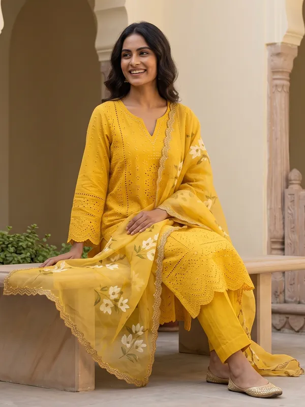 The_Bagh_Schiffli_Organza_Suit_Set