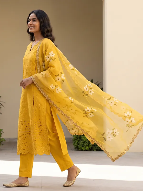 The_Bagh_Schiffli_Organza_Suit_Set
