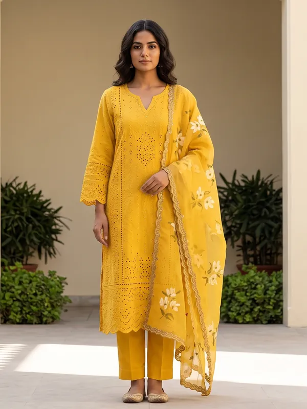 The_Bagh_Schiffli_Organza_Suit_Set