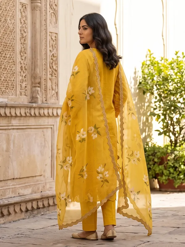 The_Bagh_Schiffli_Organza_Suit_Set