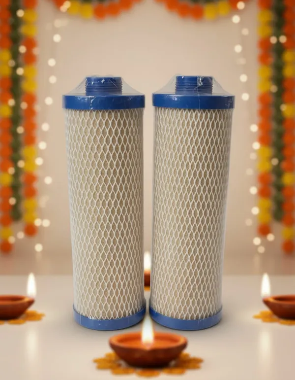Dx_Replacement_Filter_Cartridge_Pack_Of_2