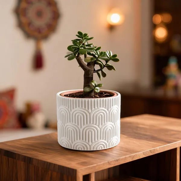 Pla_Pro_And_Modern_White_Planter_Pot