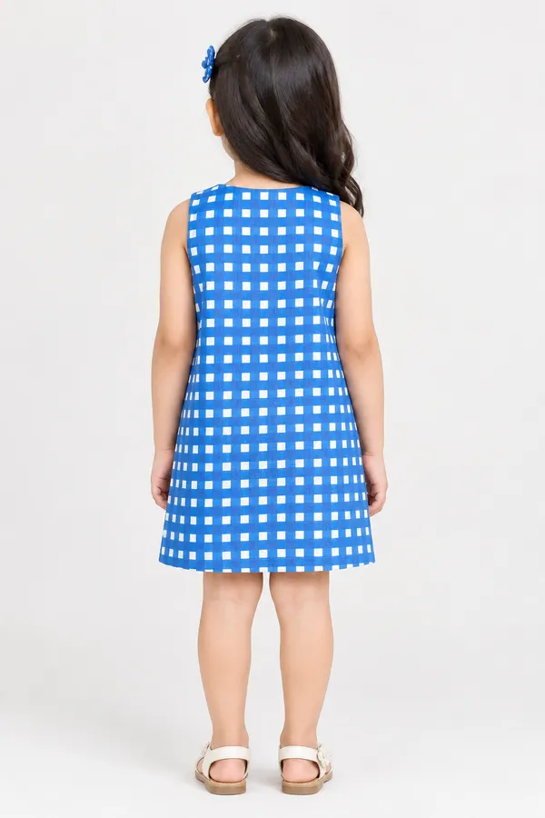 Blue_Gingham_Sleeveless_A-Line_Dress_for_Girls