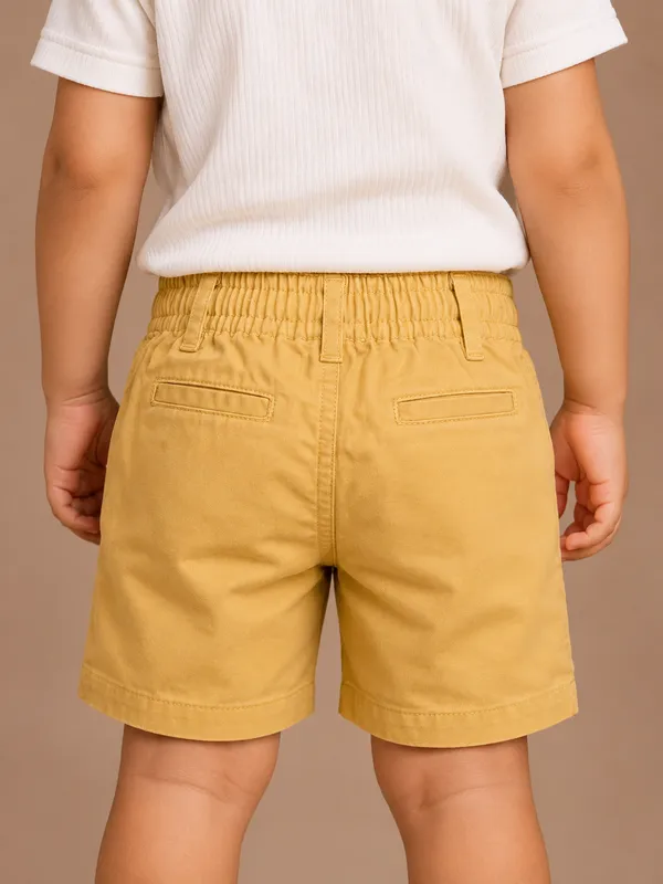 Pure_Cotton_Chino_Shorts