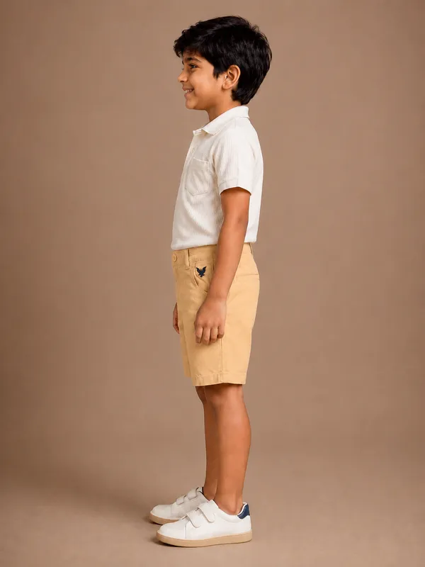 Pure_Cotton_Chino_Shorts