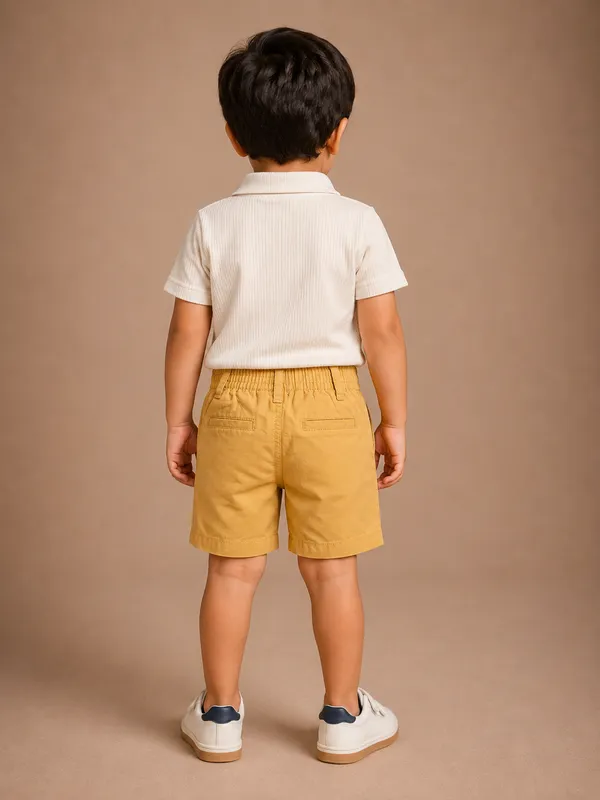 Pure_Cotton_Chino_Shorts
