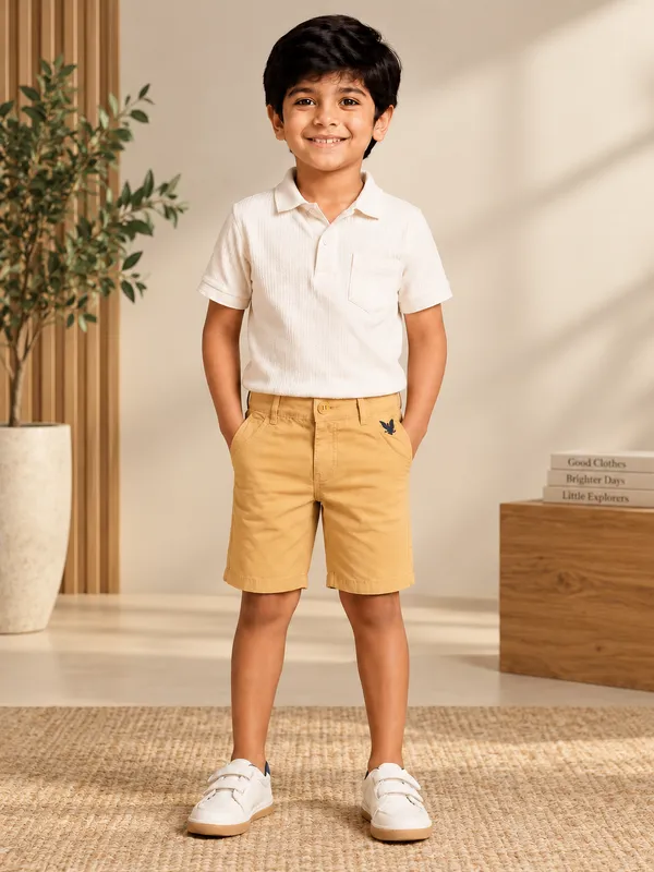 Pure_Cotton_Chino_Shorts