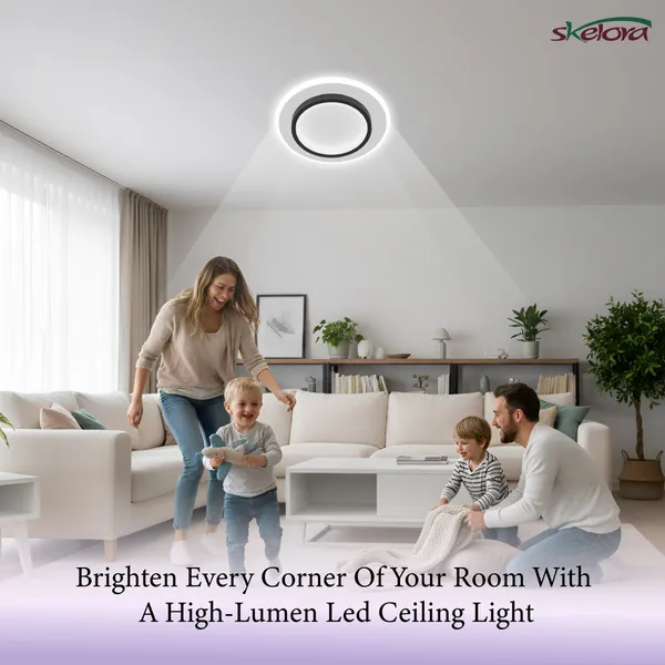 Acrylic_Iron_Modern_Round_Flush-Mount_Downlighter_Ceiling_Light_Black