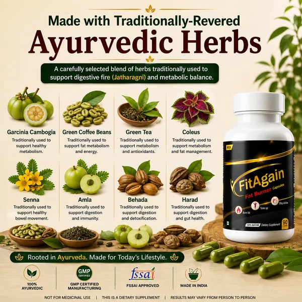 Fitagain_Fat_Burner_Garcinia_Green_Tea_Capsules