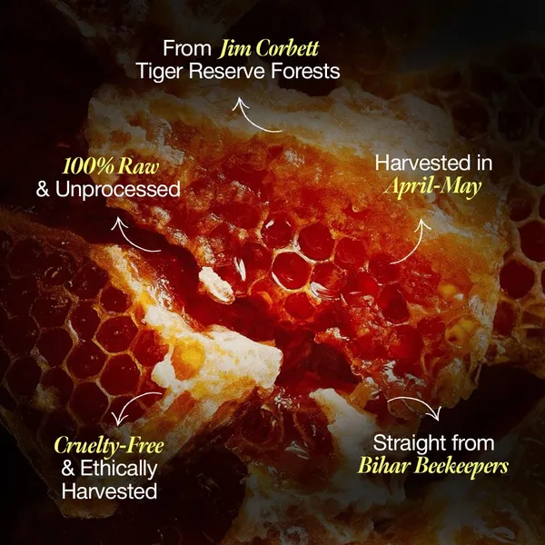 Daichi_Forest_Honey_|_100%_Raw,_Pure_&_Natural_|_Unprocessed_&_Unpasteurized_Honey_|_Straight_from_Beekeepers_|_Cruelty-free_|_No_Sugar_or_Additives