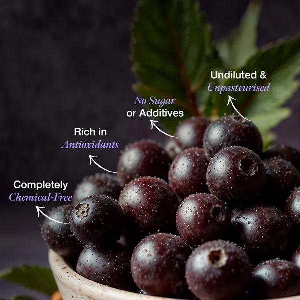 Daichi_Jamun_Honey_-_100%_Raw_&_Unprocessed,_Straight_from_beekeepers,_Cruelty-free,_No_Sugar_or_Additives