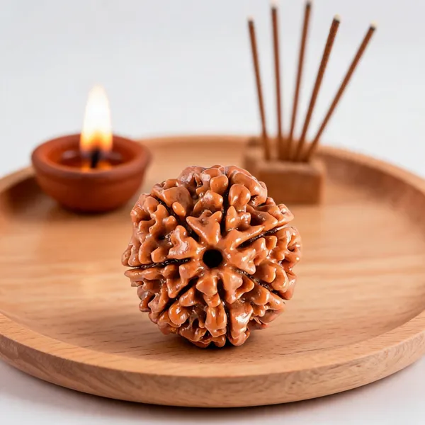 7_Mukhi_Rudraksha_Natural_Spiritual_Bead