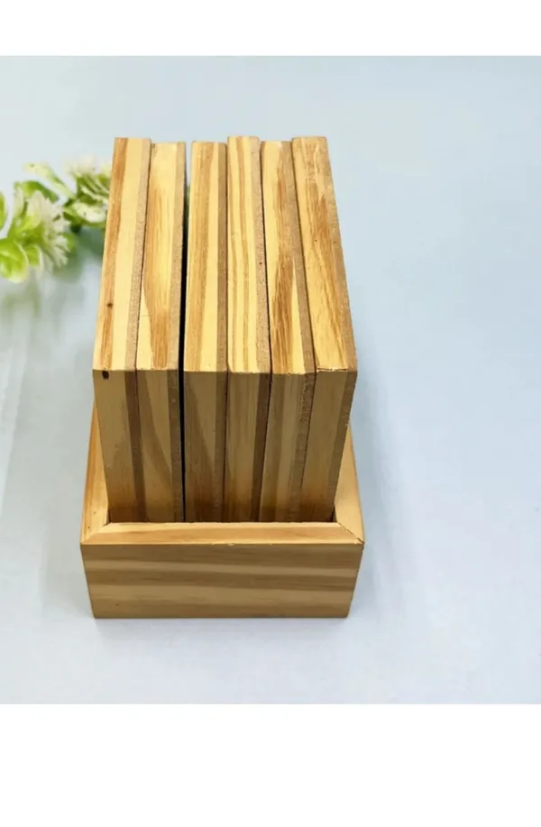 Indergarh_Heritage_Handicraft_Wood_Gemstone_Pine_Wood_Painted_Tea_Coaster_(Set_Of_6)