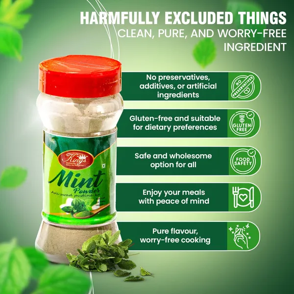 Dry_Mint_Powder_100_Grams
